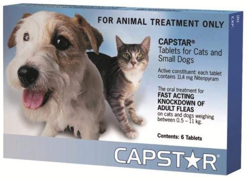 Capstar feline best sale