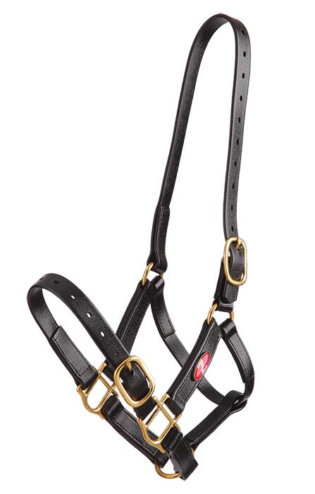 Headstall Plastic 25mm Zilco Full Black