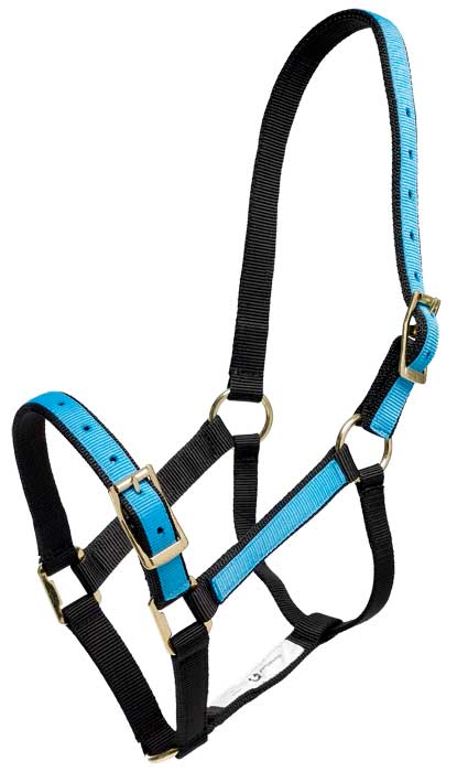 Headstall Overlay Blue & Black