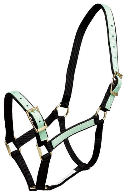 Headstall Overlay Mint & Black [:pony]