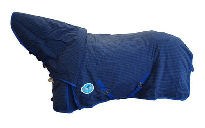 Canvas Combo Horsemaster Blue [:5'6"]