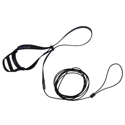 Bird Harness & Leash Aviator Black Small