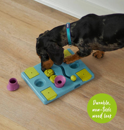 Kazoo Dog Toy Interactive Puzzle Play Rectangle Rumble-Kazoo-Ascot Saddlery