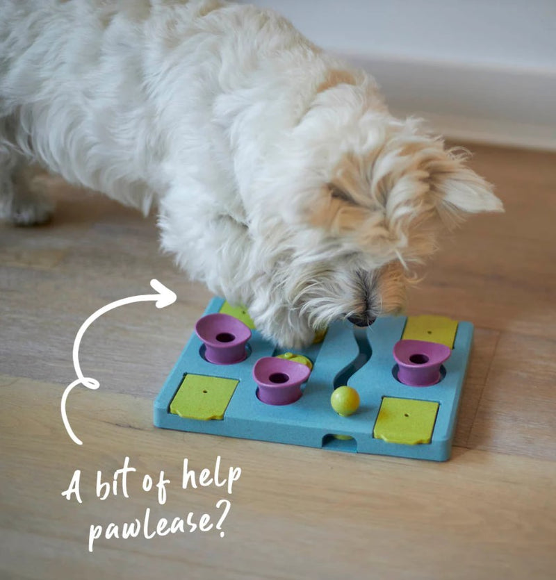 Kazoo Dog Toy Interactive Puzzle Play Rectangle Rumble-Kazoo-Ascot Saddlery