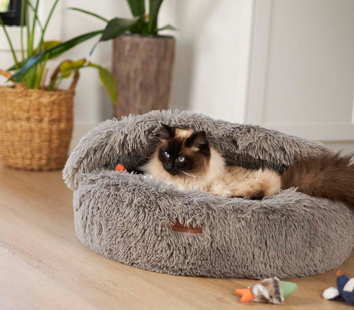 Kazoo cat high bed best sale