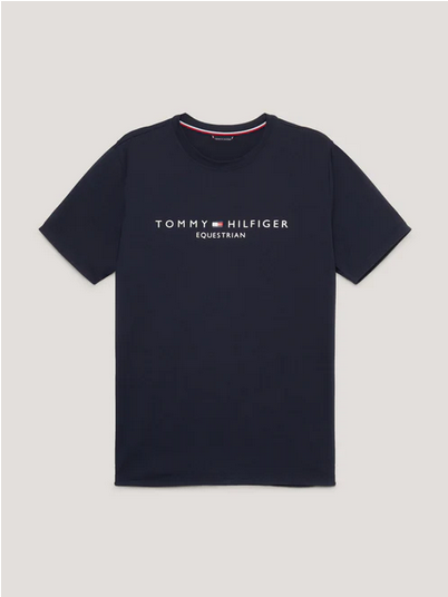 Tee Shirt Tommy Hilfiger Williamsburg Graphic Desert Sky Mens [:medium]