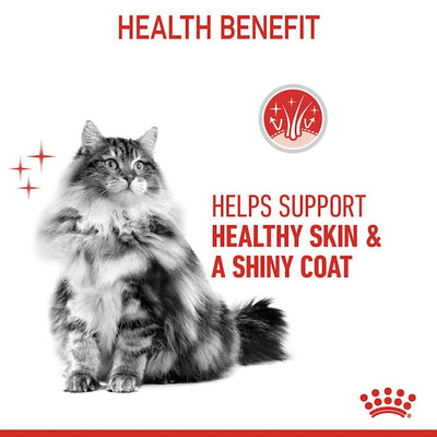 Royal Canin Cat Wet Hair & Skin Loaf Box Of 12