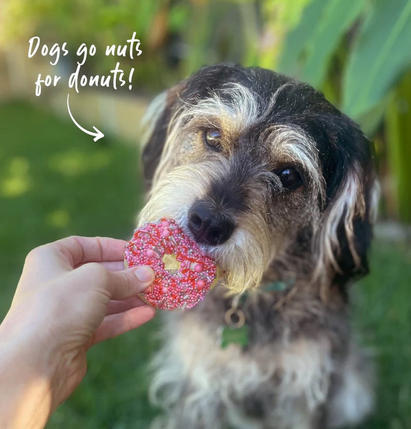 Kazoo Treat Dog Fun Donut Biscuit Pink