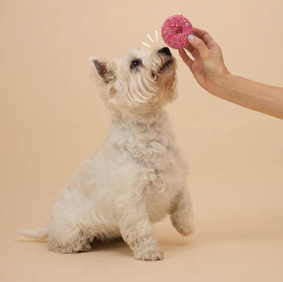 Kazoo Treat Dog Fun Donut Biscuit Pink