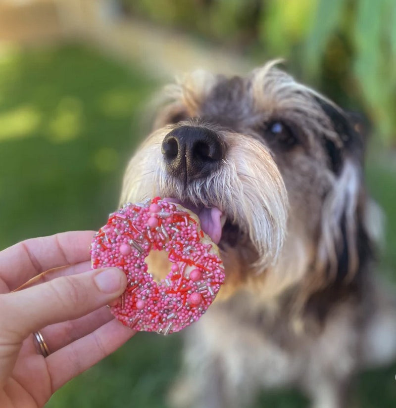 Kazoo Treat Dog Fun Donut Biscuit Pink