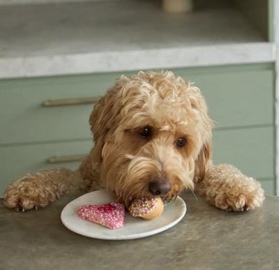 Kazoo Treat Dog Fun Heart Cookie Yoghurt