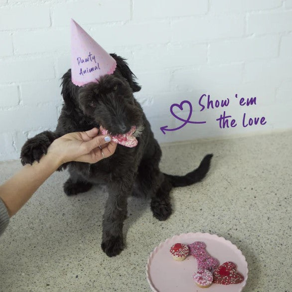 Kazoo Treat Dog Fun Heart Cookie Yoghurt