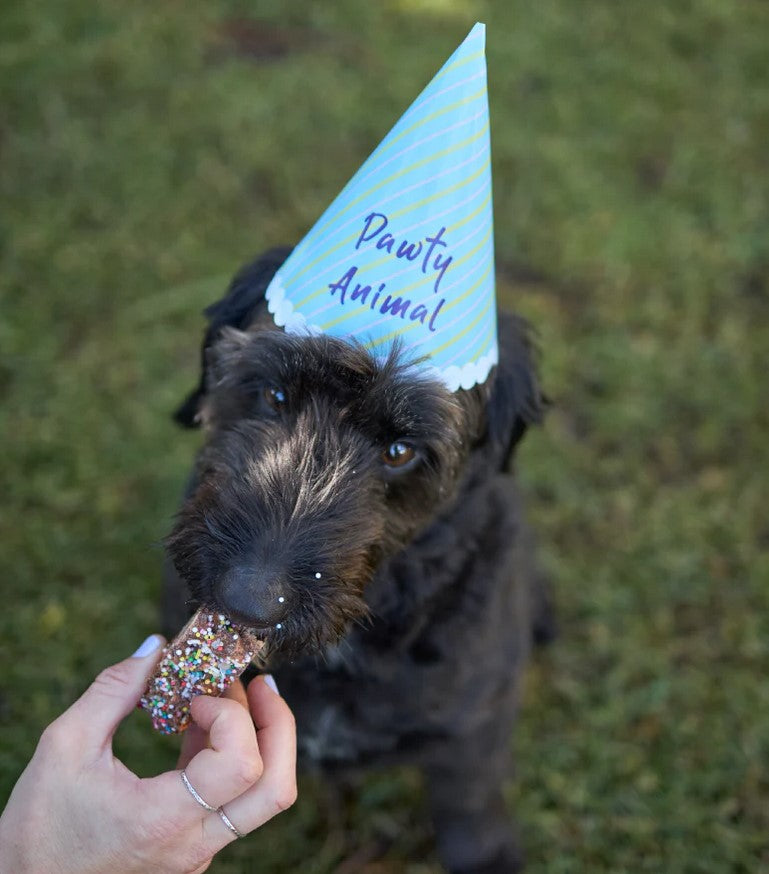 Kazoo Treat Dog Fun Rocky Road