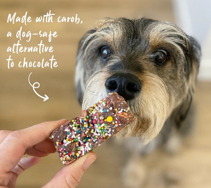 Kazoo Treat Dog Fun Rocky Road