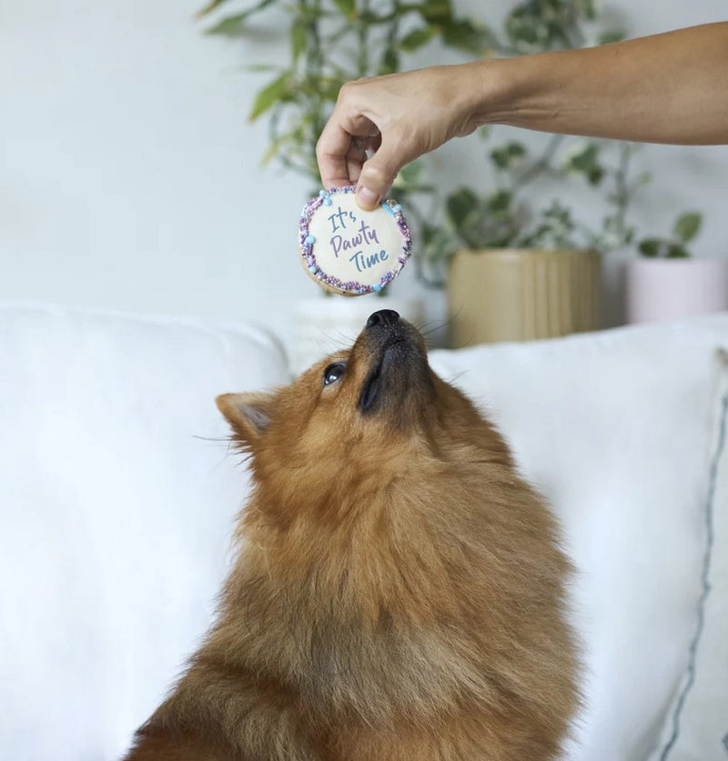 Kazoo Treat Dog Fun Birthday Cake Round Blue