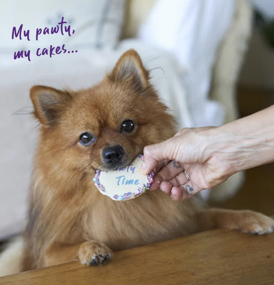 Kazoo Treat Dog Fun Birthday Cake Round Blue