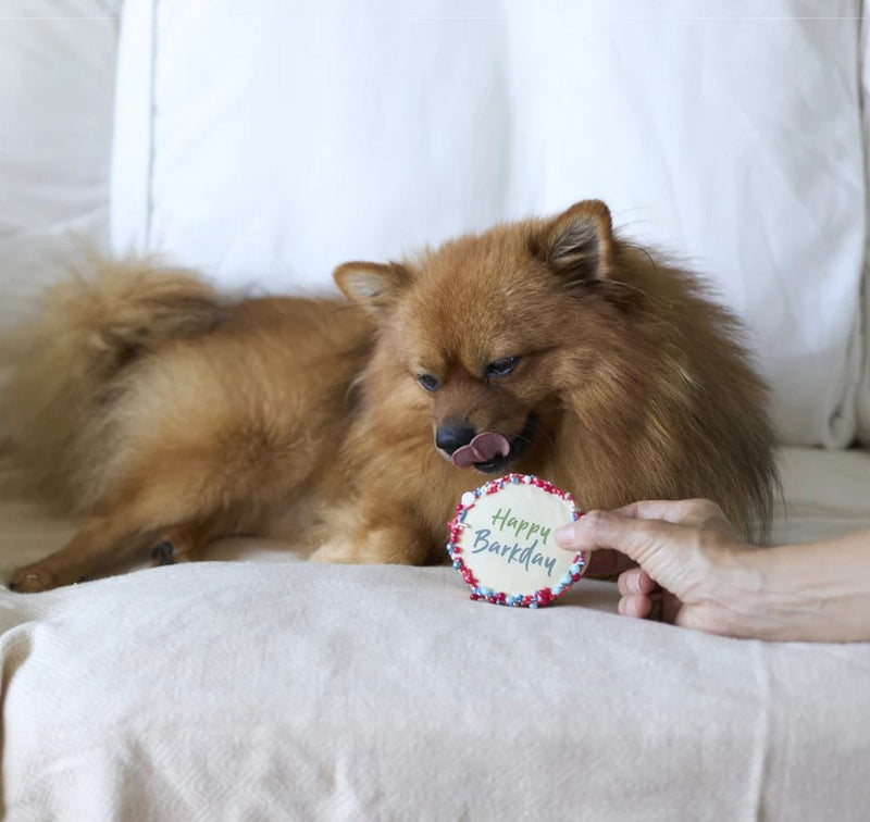 Kazoo Treat Dog Fun Birthday Cake Round Red