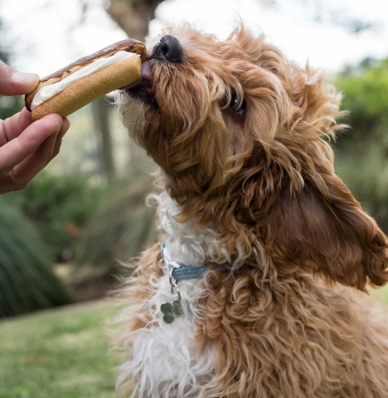 Kazoo Treat Dog Fun Eclair Carob