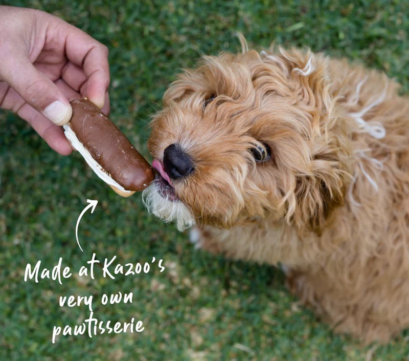 Kazoo Treat Dog Fun Eclair Carob