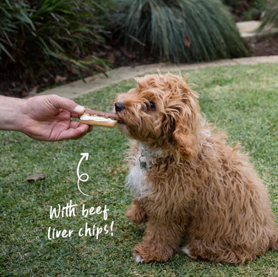 Kazoo Treat Dog Fun Eclair Carob