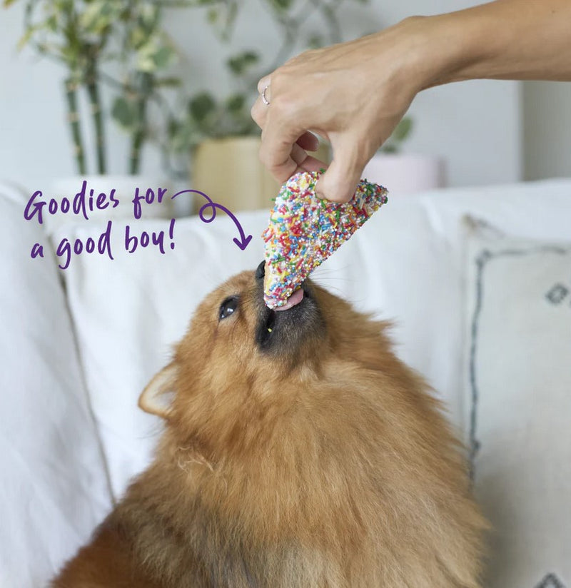 Kazoo Treat Dog Fun Fairy Bread