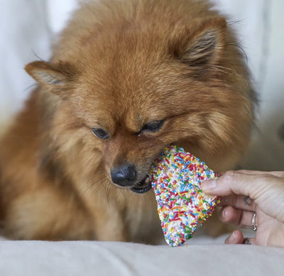 Kazoo Treat Dog Fun Fairy Bread