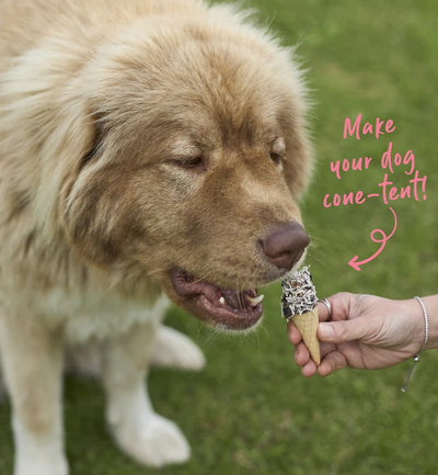 Kazoo Treat Dog Fun Protein Cone Liver