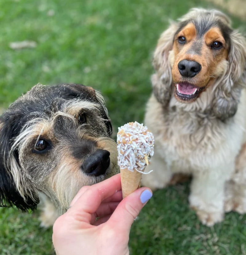 Kazoo Treat Dog Fun Protein Cone Chicken