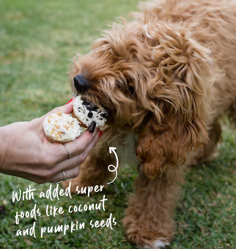 Kazoo Treat Dog Fun Meaty Cupcakes Duo