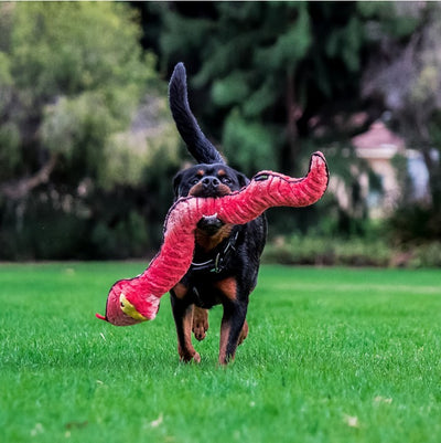 Ruff Play Dog Toy Plush Tuff Snake 76cm