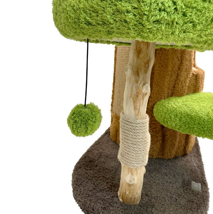 Cat Gym Cattitude Tree Top Tranquility