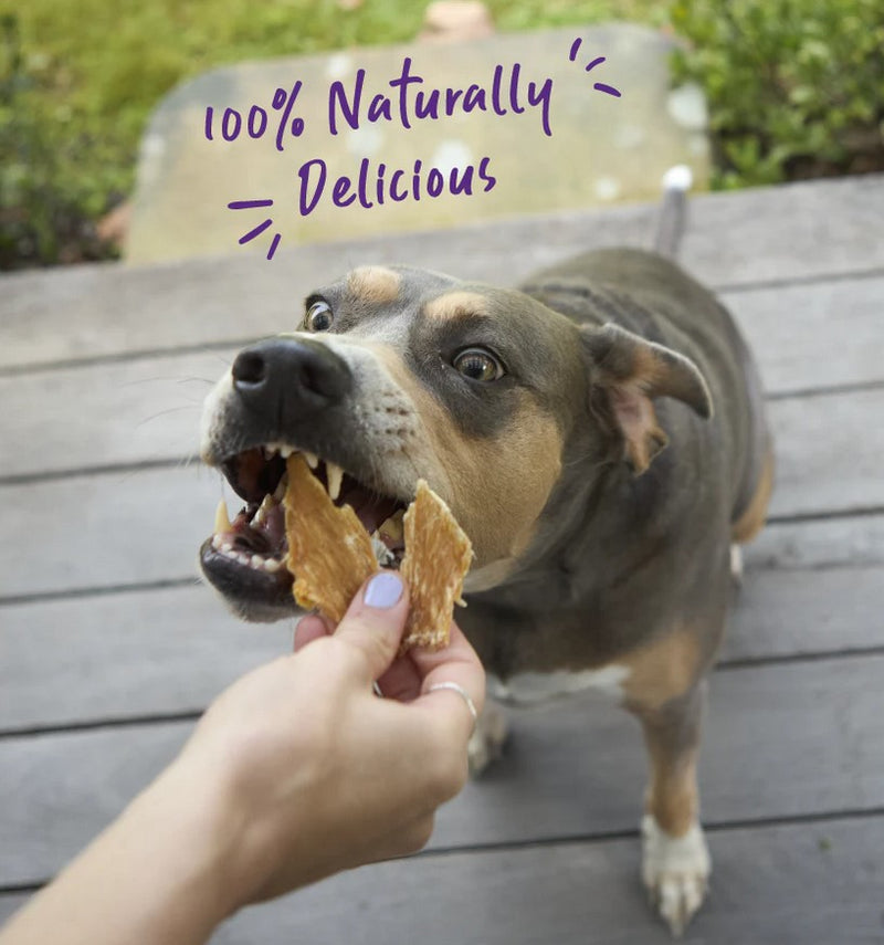 Kazoo Treat Dog Prime Cuts Chicken Breast 100gm