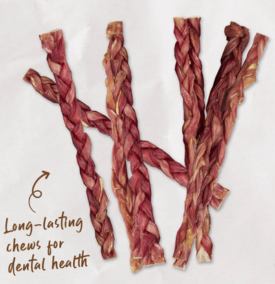 Kazoo Treat Dog Prime Cuts Beef Stick Braided 3 Piece