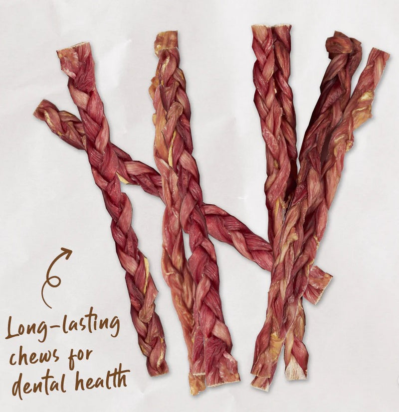 Kazoo Treat Dog Prime Cuts Beef Stick Braided 3 Piece