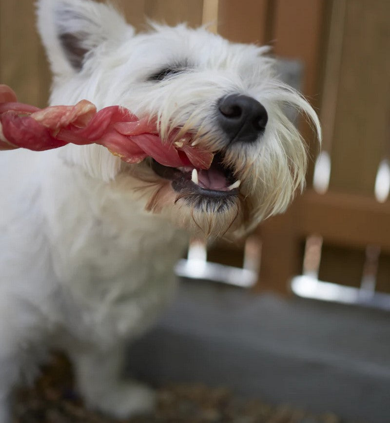 Kazoo Treat Dog Prime Cuts Beef Stick Braided 3 Piece