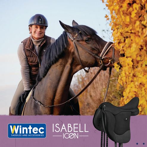 Wintec Isabell Icon Dressage Saddle Hart Black [:43cm 17.0"]