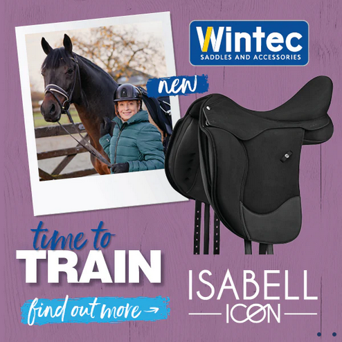 Wintec Isabell Icon Dressage Saddle Hart Black [:43cm 17.0"]