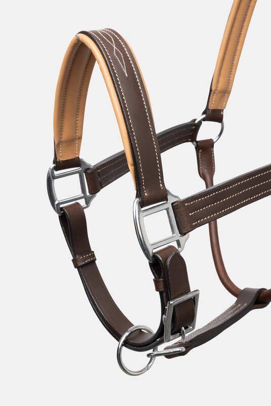 Headstall Leather Physical Sophistication Brown [:pony]