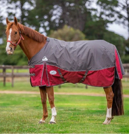 1 Horse X Eurohunter Thredbo 1200 Denier Rug Rhubarb-RUGS: Winter Rugs, Neck Rugs & Hoods-Ascot Saddlery