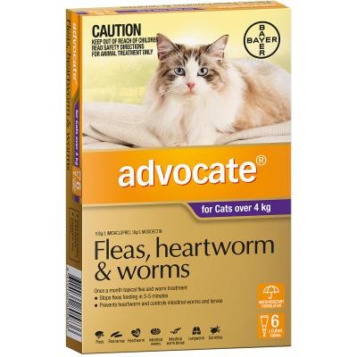 Advocate Cat Over 4kg Large 6 Pack