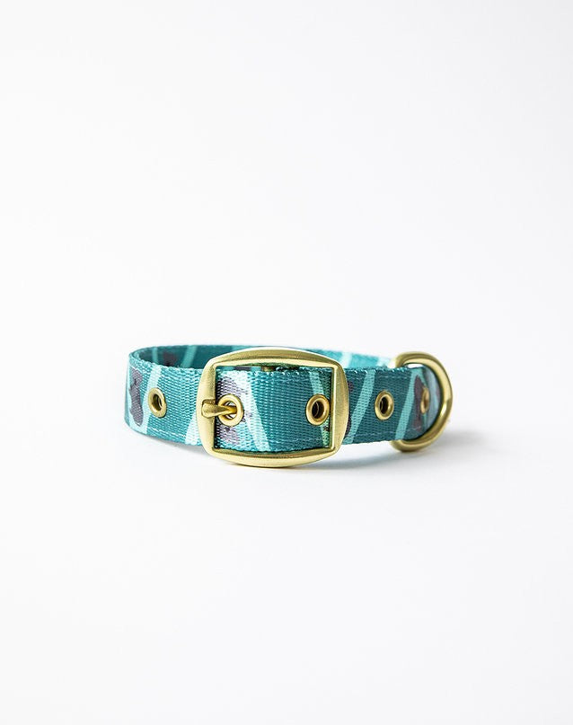 Anipal Dog Collar Kylo The Koala-Dog Collars & Leads-Ascot Saddlery