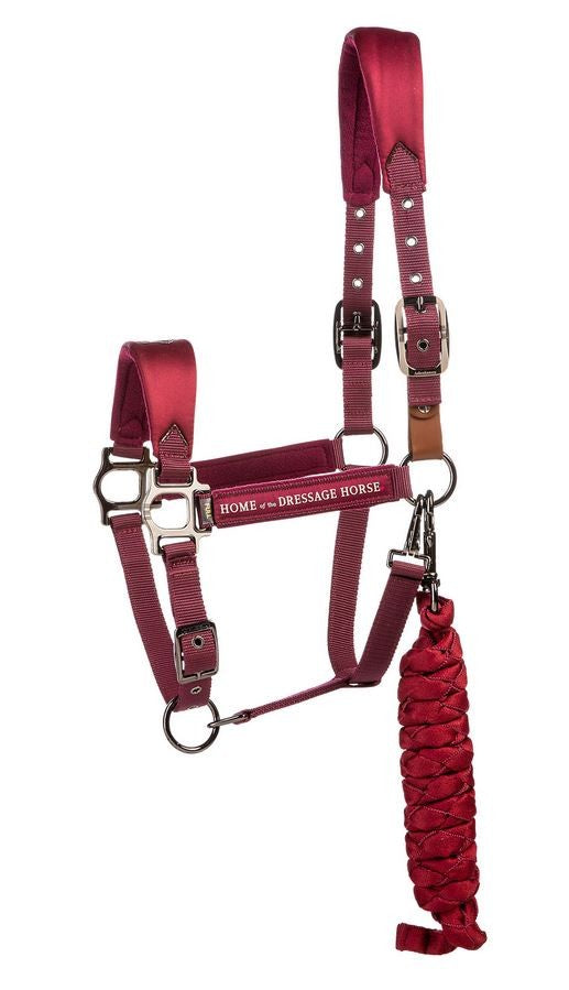 Aubenhausen Classics Halter Set Burgundy Full-HORSE: Headstalls-Ascot Saddlery