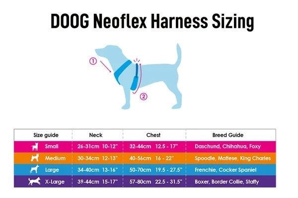 Doog Dog Harness Neoflex Scooby-Dog Collars & Leads-Ascot Saddlery