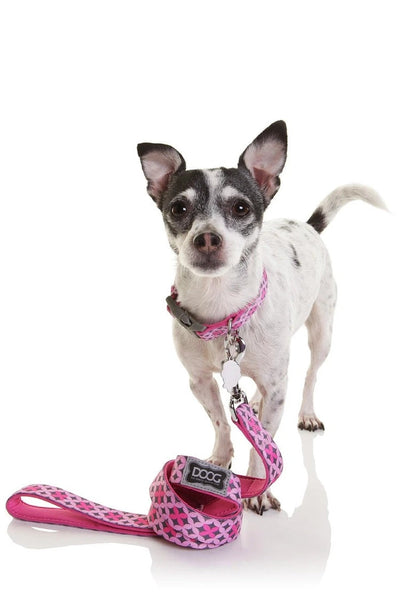 Doog Dog Leash Toto-Dog Collars & Leads-Ascot Saddlery