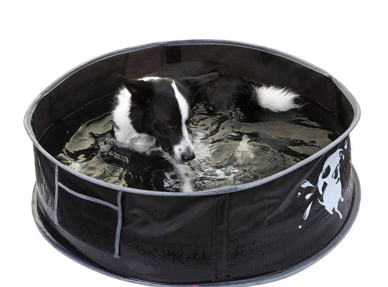 Doog Dog Pool Pop Up Large-Dog Accessories-Ascot Saddlery