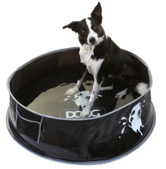 Doog Dog Pool Pop Up Large-Dog Accessories-Ascot Saddlery