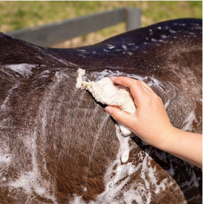 Hairy Pony Shampoo Bar Original-STABLE: Show Preparation-Ascot Saddlery