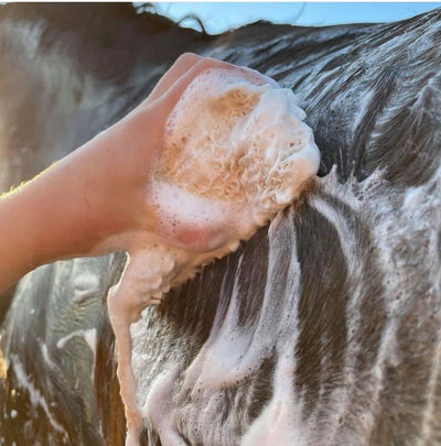 Hairy Pony Shampoo Bar Original-STABLE: Show Preparation-Ascot Saddlery