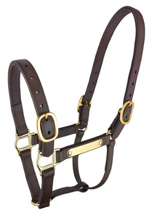 Headstall Nameplate Pn Deluxe Brown-HORSE: Headstalls-Ascot Saddlery