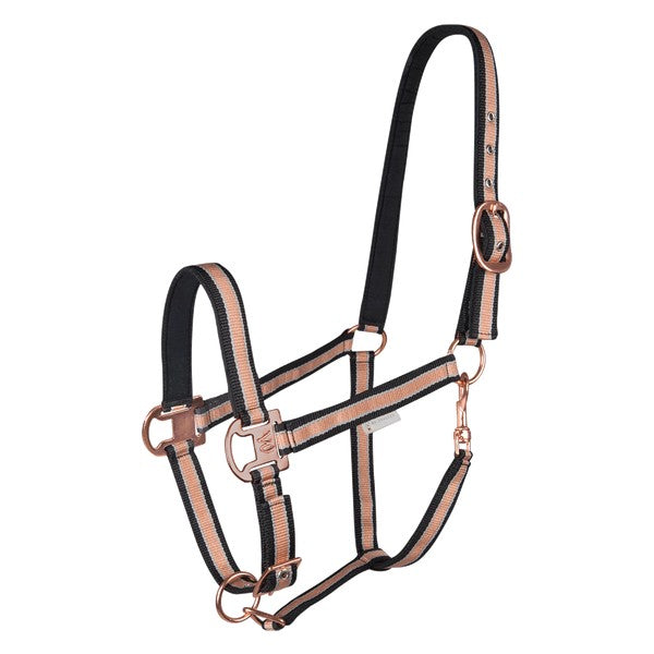 Headstall Rose Shine Elt Black-HORSE: Headstalls-Ascot Saddlery